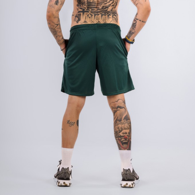 Shorts Dryfit Celtics Verde
