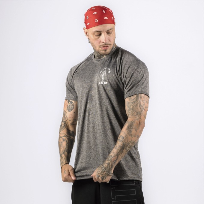 Camiseta Haglan Dryfit Golds Gym Rajada Mescla