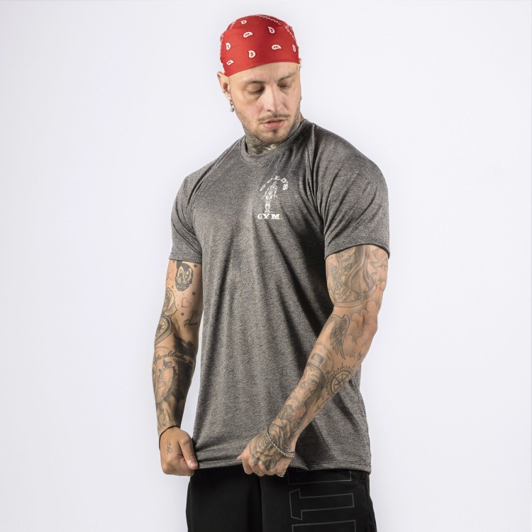 Camiseta Haglan Dryfit Golds Gym Rajada Mescla