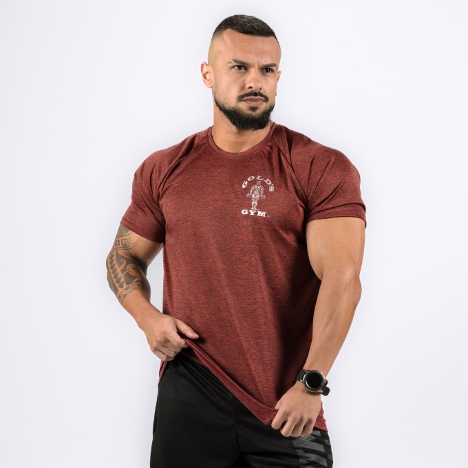 Camiseta Haglan Dryfit Golds Gym Rajada Vermelha