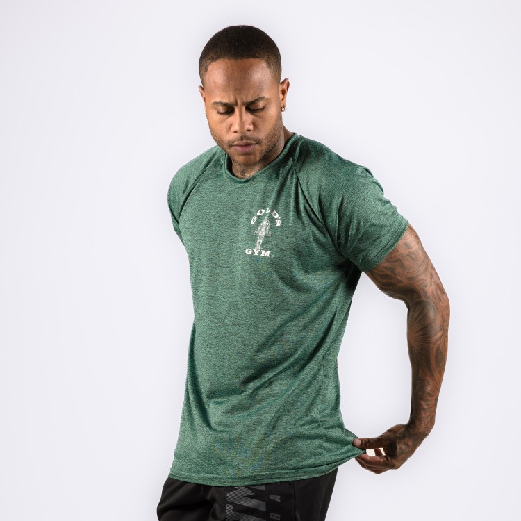 Camiseta Haglan Dryfit Golds Gym Rajada Verde