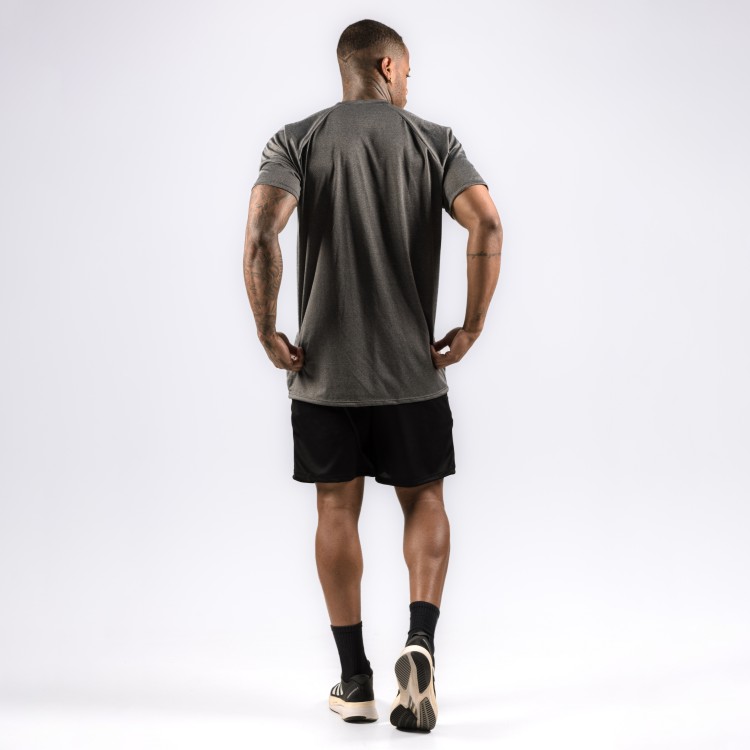 Camiseta Haglan Aerodry Cicle Cinza Grafite